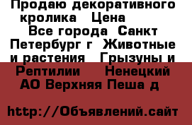 Продаю декоративного кролика › Цена ­ 500 - Все города, Санкт-Петербург г. Животные и растения » Грызуны и Рептилии   . Ненецкий АО,Верхняя Пеша д.